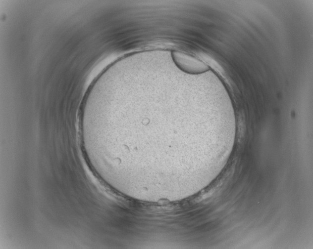 X0000064751047200603131338