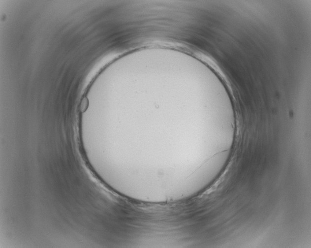 X0000064751048200603131338