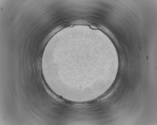 X0000064751049200603131338