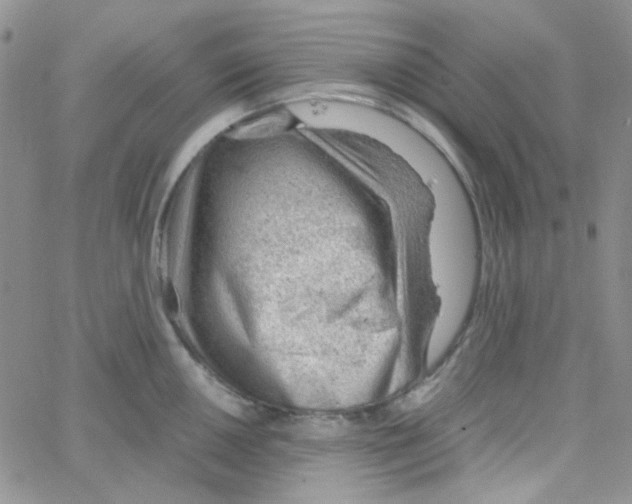 X0000064751050200603131339