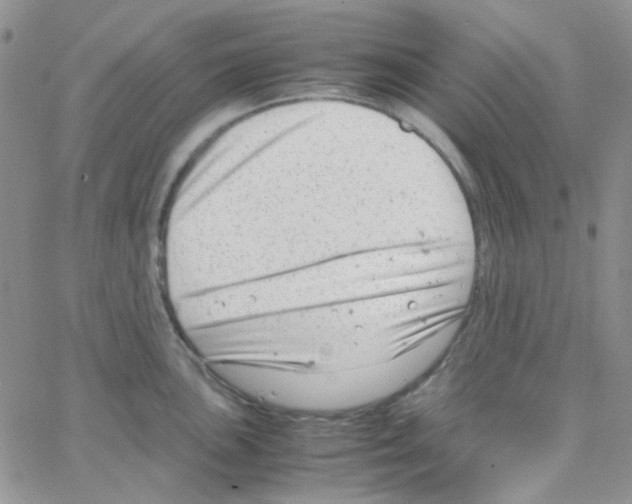 X0000064751051200603131339