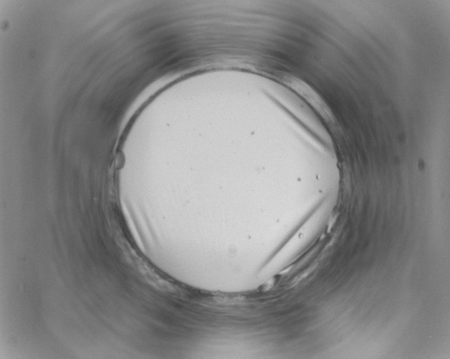 X0000064751052200603131339