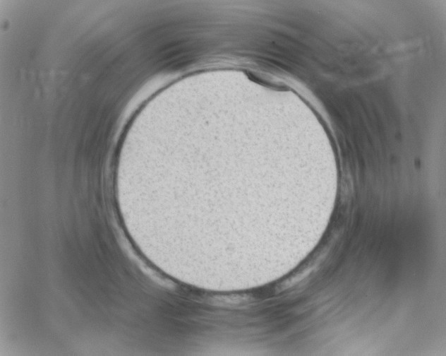 X0000064751053200603131339