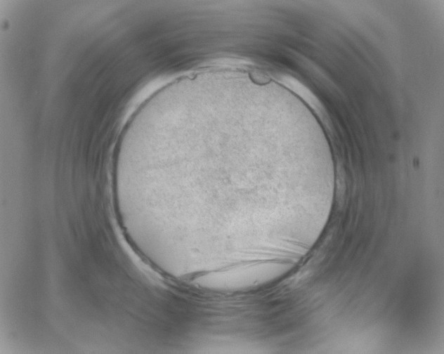 X0000064751055200603131339