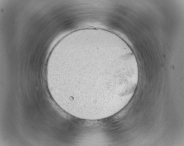 X0000064751056200603131339