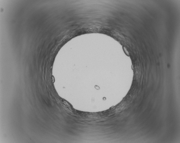 X0000064751057200603131338