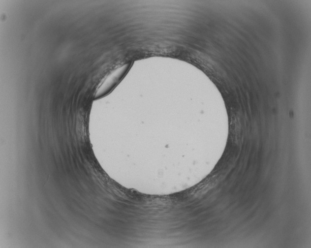 X0000064751058200603131338