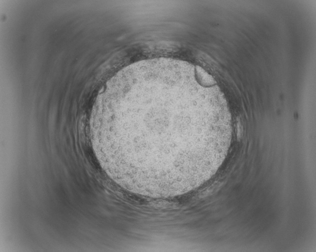 X0000064751059200603131338