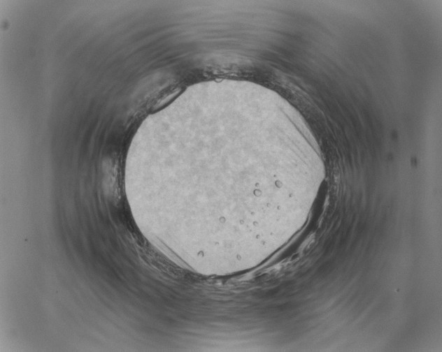 X0000064751060200603131338