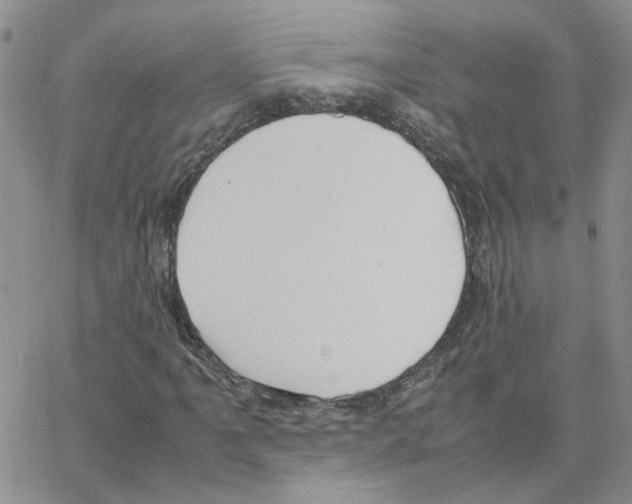 X0000064751061200603131338