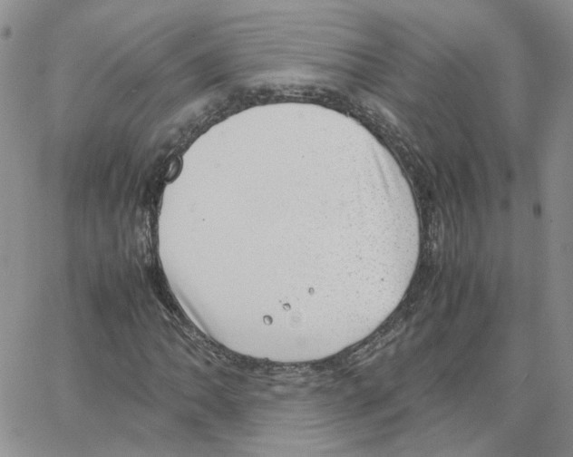 X0000064751062200603131338