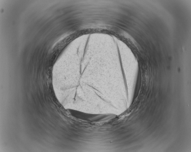 X0000064751064200603131338