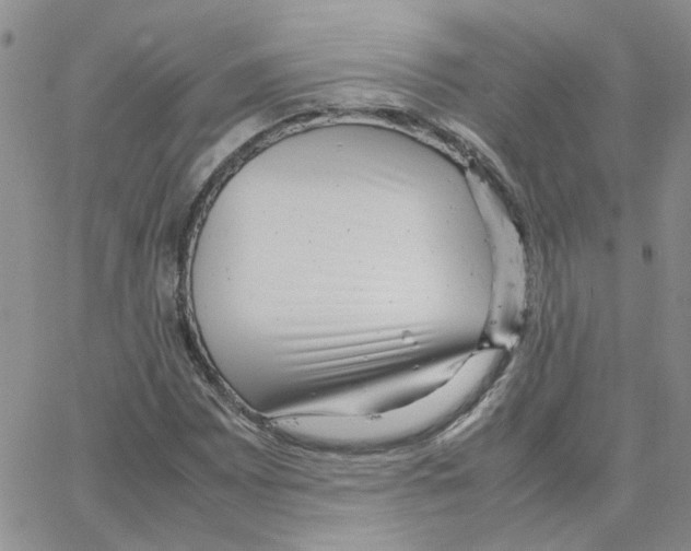 X0000064751065200603131338