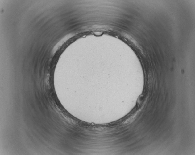 X0000064751066200603131338