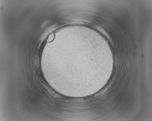 X0000064751067200603131338