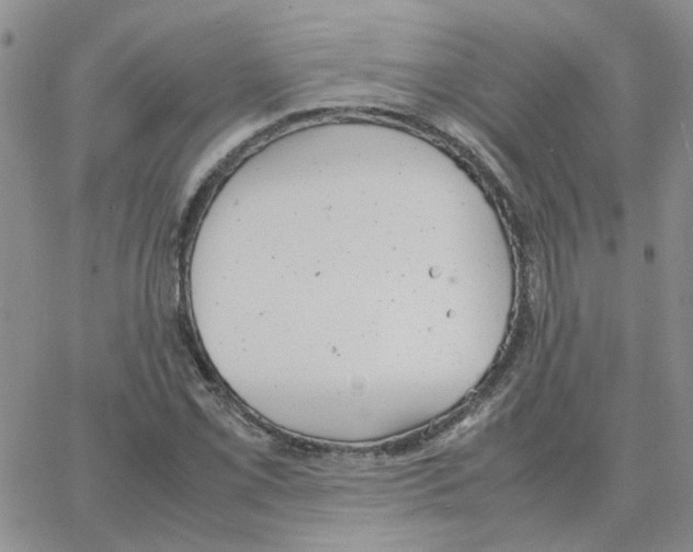 X0000064751069200603131338