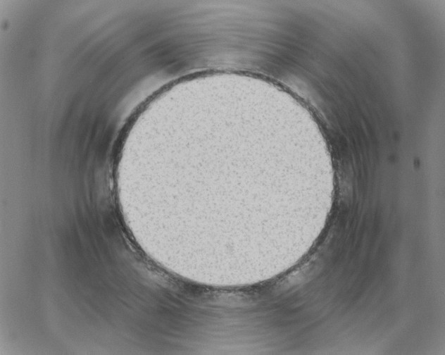 X0000064751070200603131338