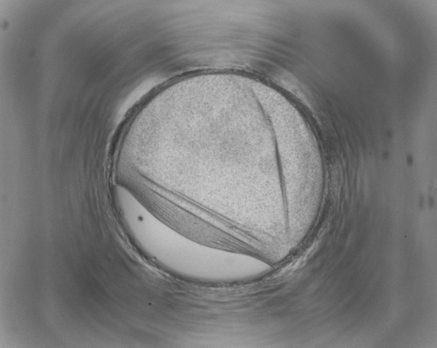 X0000064751071200603131338