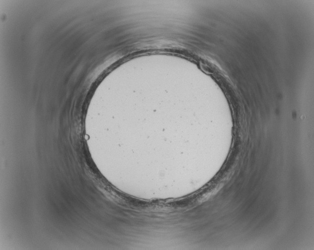 X0000064751073200603131338