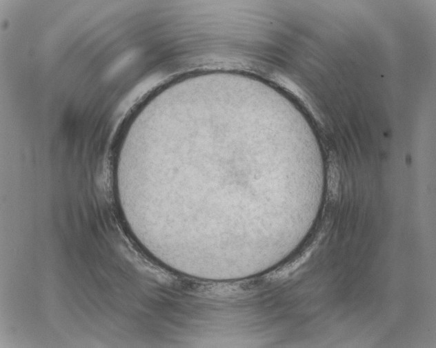 X0000064751074200603131338