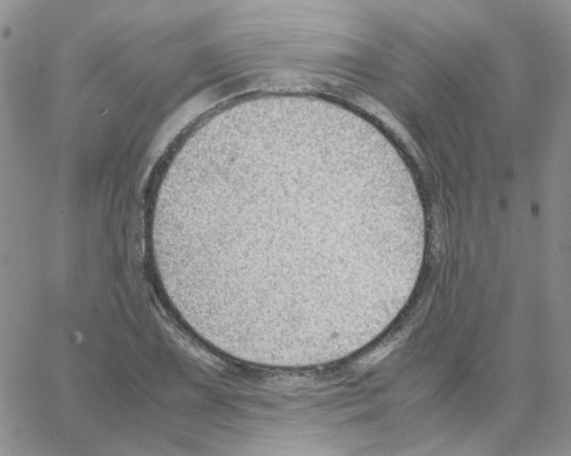 X0000064751075200603131338