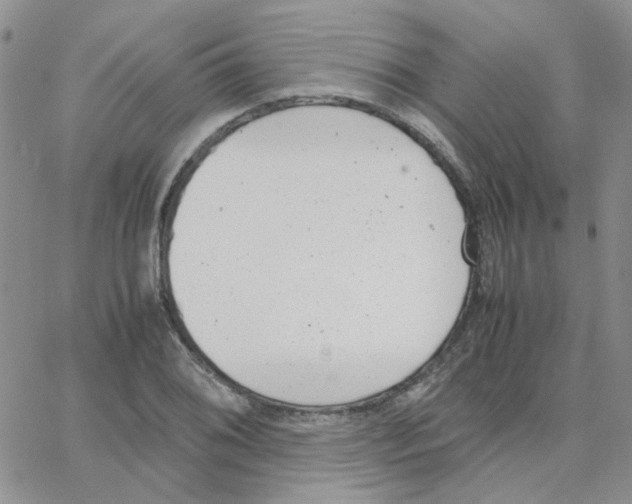 X0000064751076200603131338