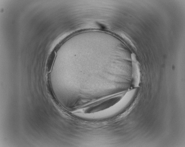 X0000064751077200603131338