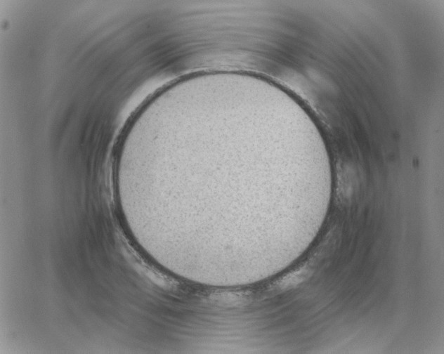 X0000064751078200603131337