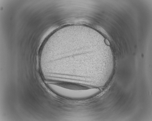 X0000064751079200603131337