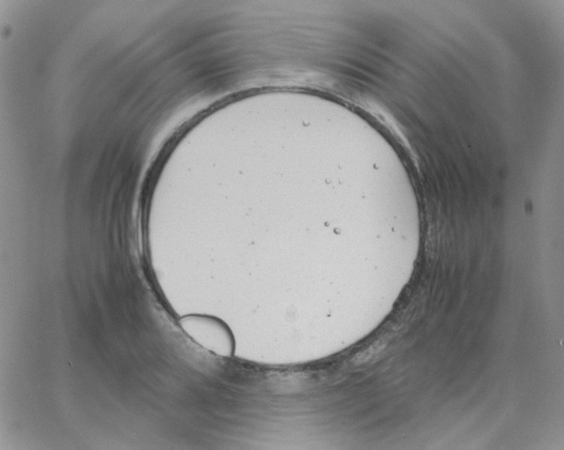 X0000064751080200603131337