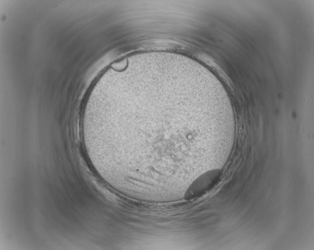 X0000064751083200603131337