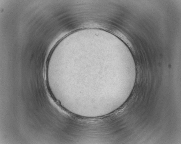 X0000064751084200603131337