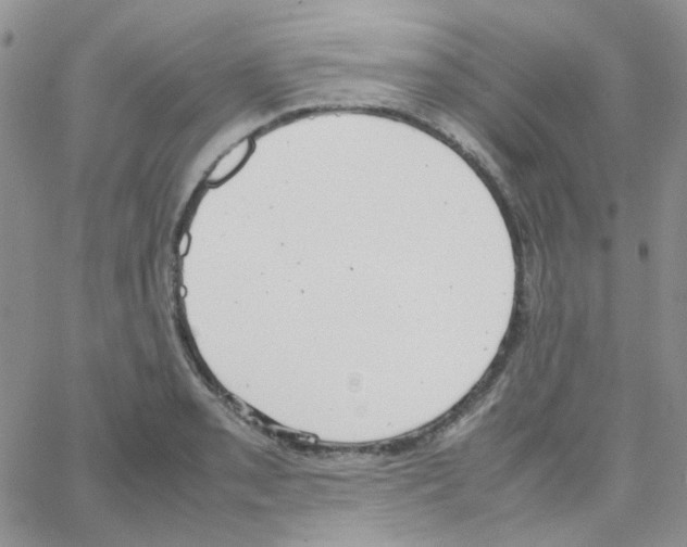 X0000064751085200603131337