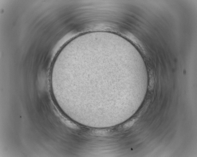 X0000064751086200603131337