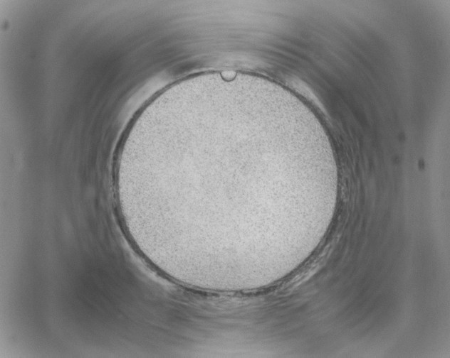 X0000064751087200603131337