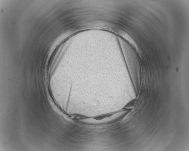 X0000064751088200603131337