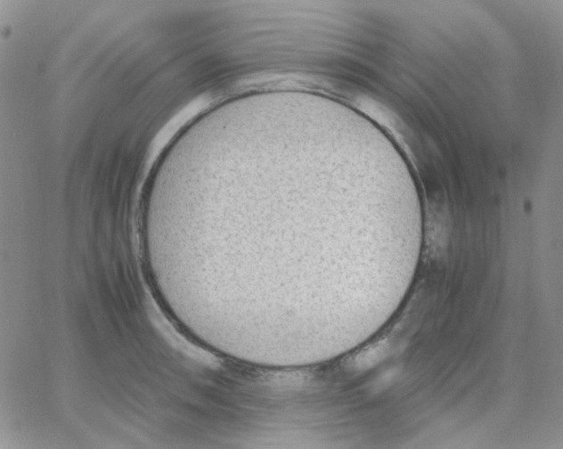 X0000064751090200603131337