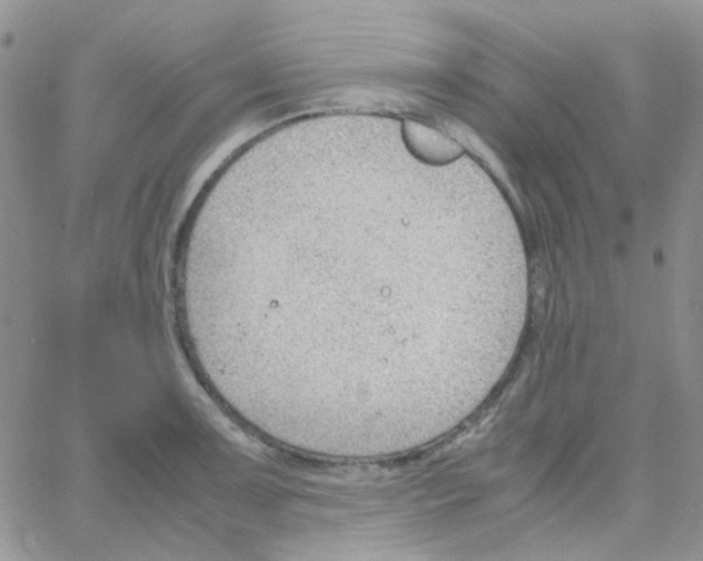 X0000064751091200603131337