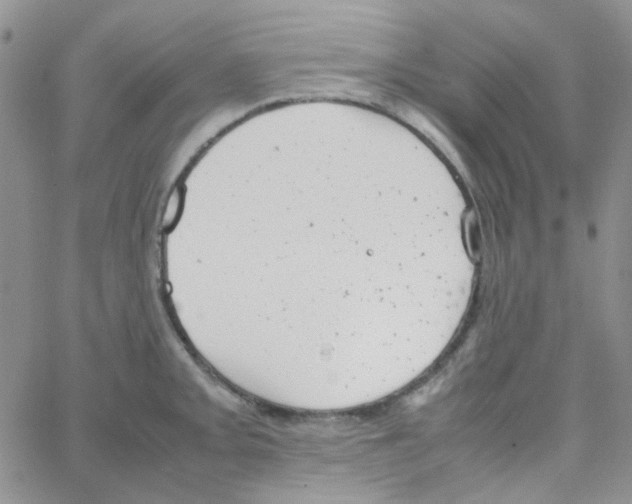 X0000064751093200603131337