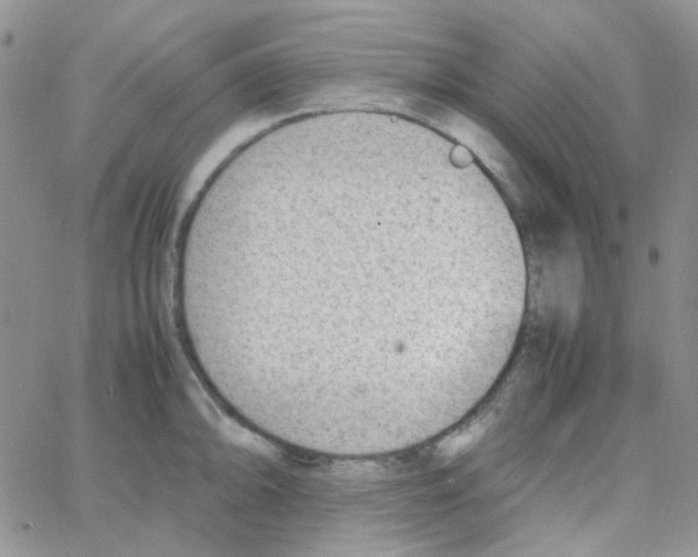 X0000064751094200603131337