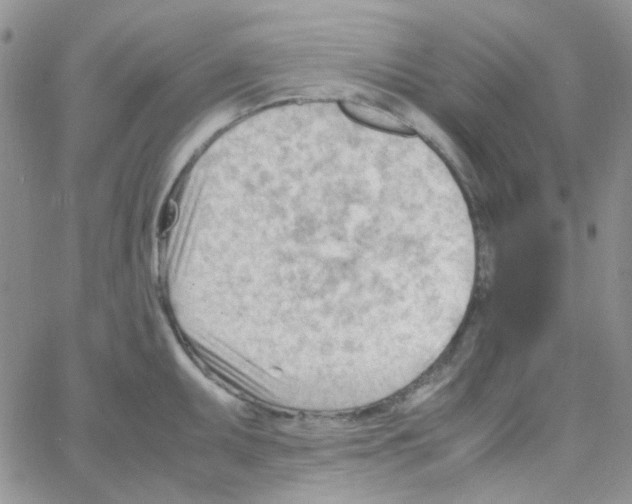 X0000064751095200603131337