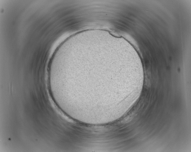 X0000064751096200603131337