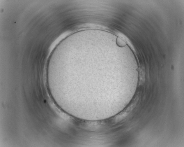 X0000064751098200603131337