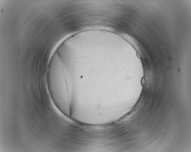 X0000064751100200603131337