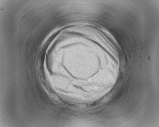 X0000064751101200603131337