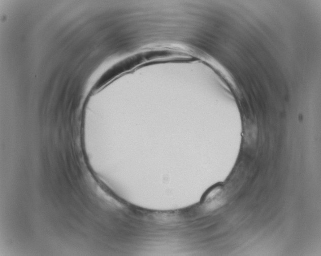 X0000064751102200603131337