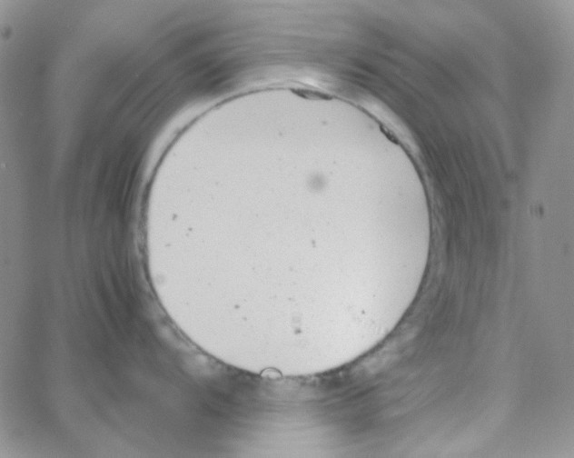 X0000064751104200603131337