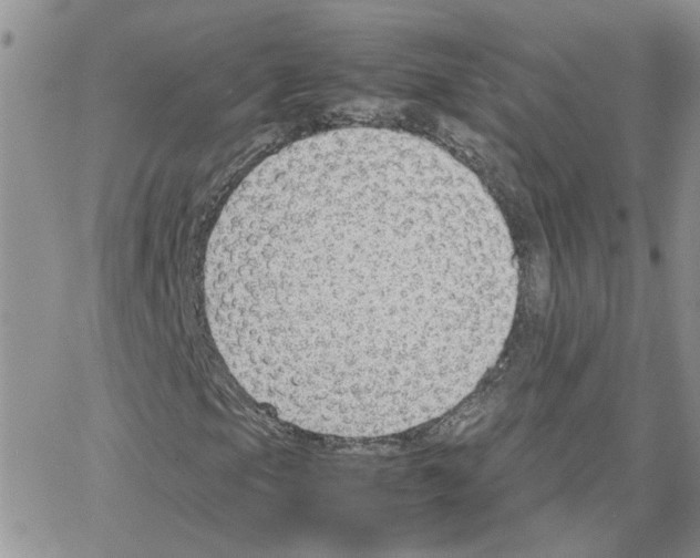 X0000064751105200603131336