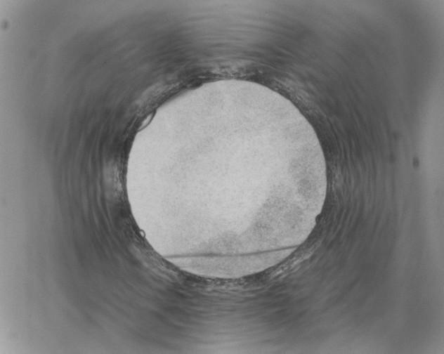 X0000064751106200603131336