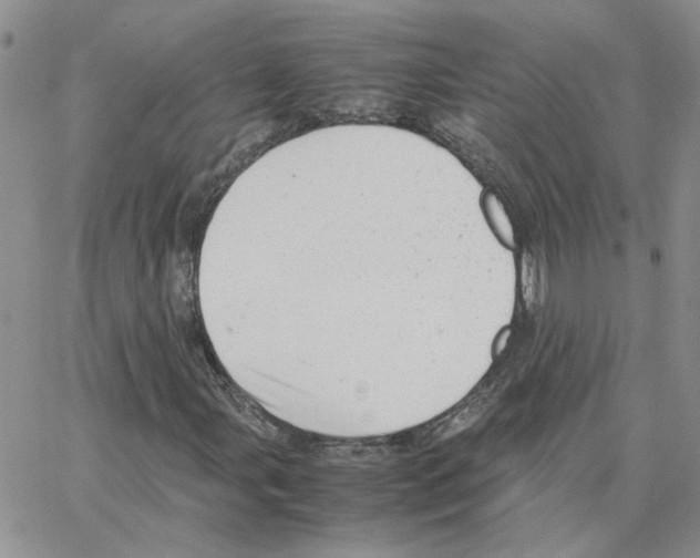 X0000064751107200603131336